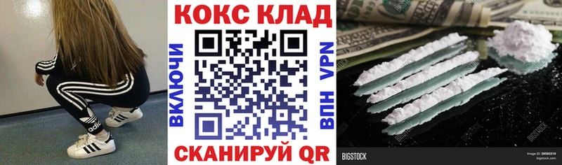 где купить   Короча  COCAIN Fish Scale 
