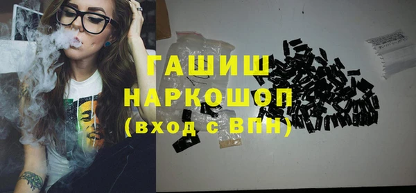 индика Осташков