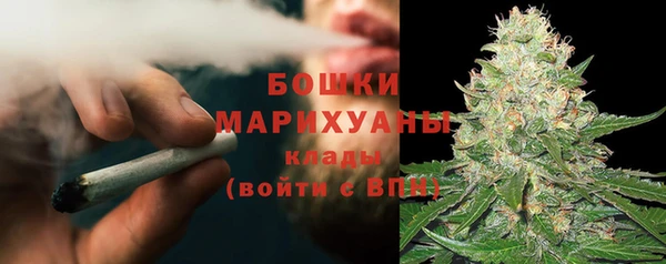 индика Осташков