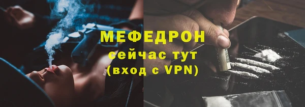индика Осташков