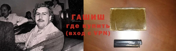 индика Осташков