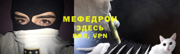 индика Осташков
