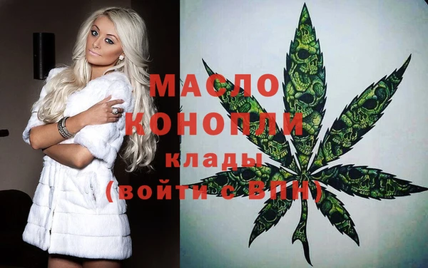 индика Осташков