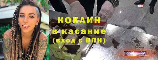 индика Осташков