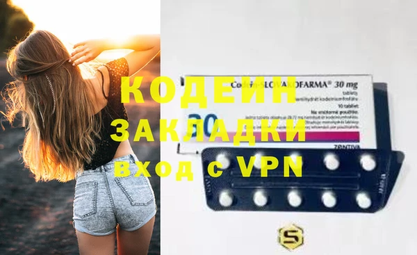 индика Осташков
