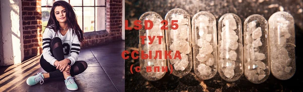 индика Осташков