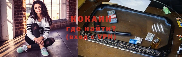 индика Осташков